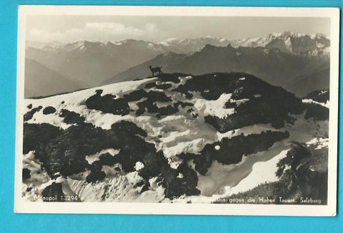 AK Blick vom Hundstein gegen die Hohen Tauern.