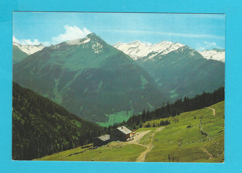 AK Neukirchen am Großvenediger. Gasthof und Skihütte Steineralm.