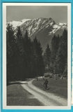 AK Naturpark bei Neukirchen im Pinzgau. (1934)