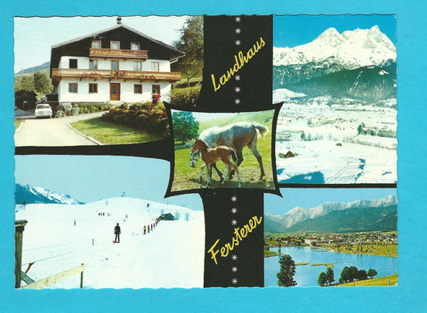 AK Saalfelden. Schmalenbergham 5. Landhaus Fersterer. Bes. Hermann Fersterer.