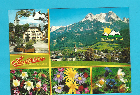 AK Saalfelden am Steinernen Meer.