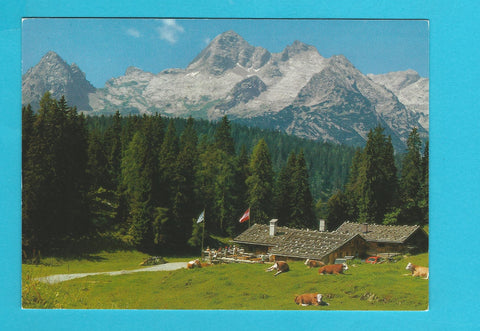 AK Jausenstation Kalbrunnalmhütte am Diesbachstausee.