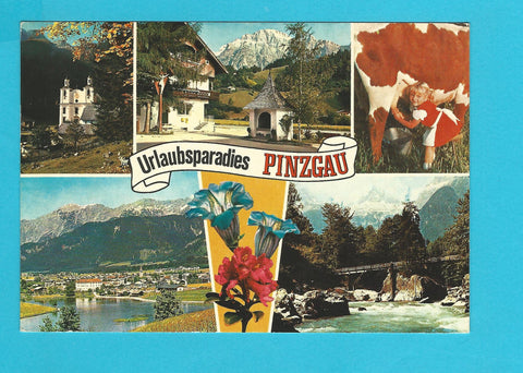 AK Urlaubsgrüße Pinzgau.
