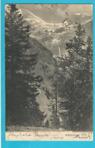 AK Käferthal.