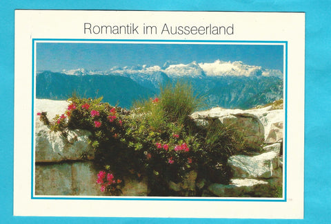 AK Romantik im Ausseerland. Altaussee. Alpenrosenblühen auf dem Loser. Altaussee.