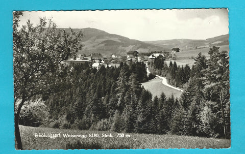AK Waisenegg.