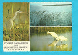 AK Vogelparadies am Neusiedlersee.