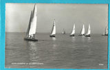 AK Segelregatta am Neusiedlersee. (1957)