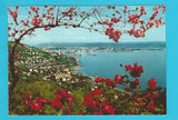 AK Trieste. Panorama.