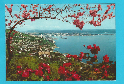 AK Trieste. Panorama.