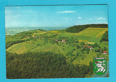 AK Sausaler Weingebiet Gasthof Schrotter Höch 78, Fresing.