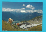 AK Altaussee. Loser Bergstraße.
