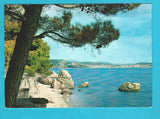 AK Trieste. Panorama.