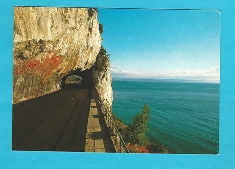 AK Trieste. Strada Costiera - Galleria Naturale.