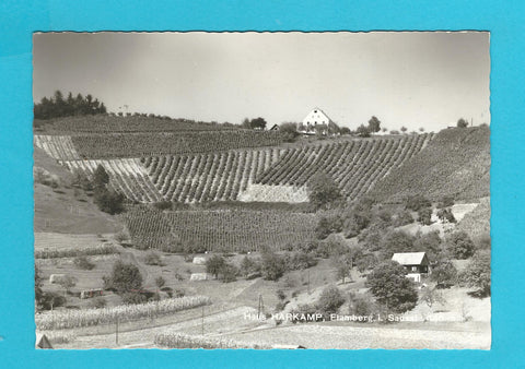AK Haus Harkamp, Flamberg im Sausal.