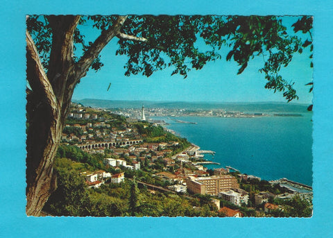AK Trieste. Panorama.