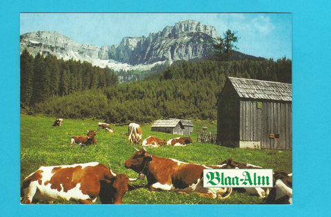 AK Blaa Alm. Wirtshaus. Lichtersberg 73.