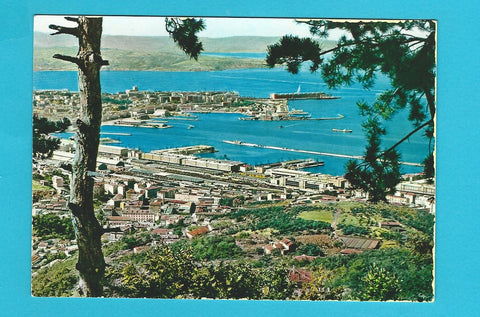AK Trieste - Panorama.