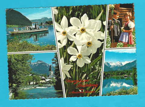 AK Narzissenfrühling im Ausseer Land.