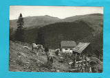 AK In de Nockbergen Österreichs. Alm an der Turracherhöhe gegen den Eisenhut.