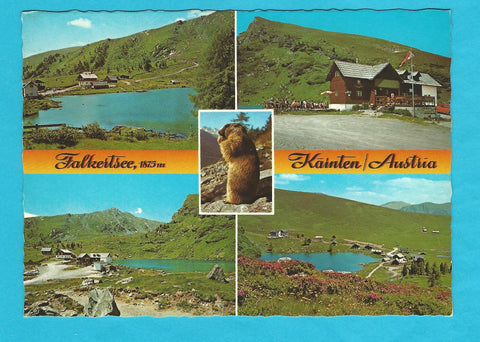 AK Falkertsee mit Falkertseehütte und Karlhütte. Patergassen.