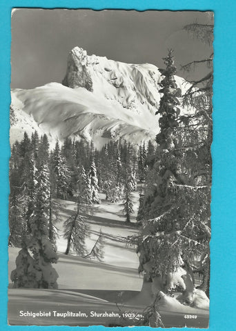 AK Schigebiet Tauplitzalm, Sturzhahn. (1955)