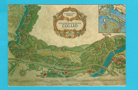 AK Collio.