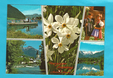 AK Narzissenfrühling im Ausseer Land.